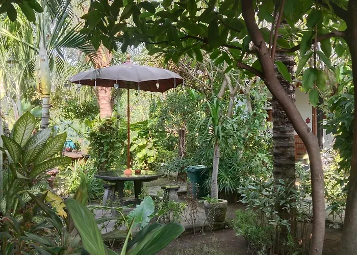 Van Santri Homestay Pemuteran